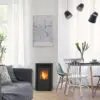 pelle_duroflame1-100x100.webp